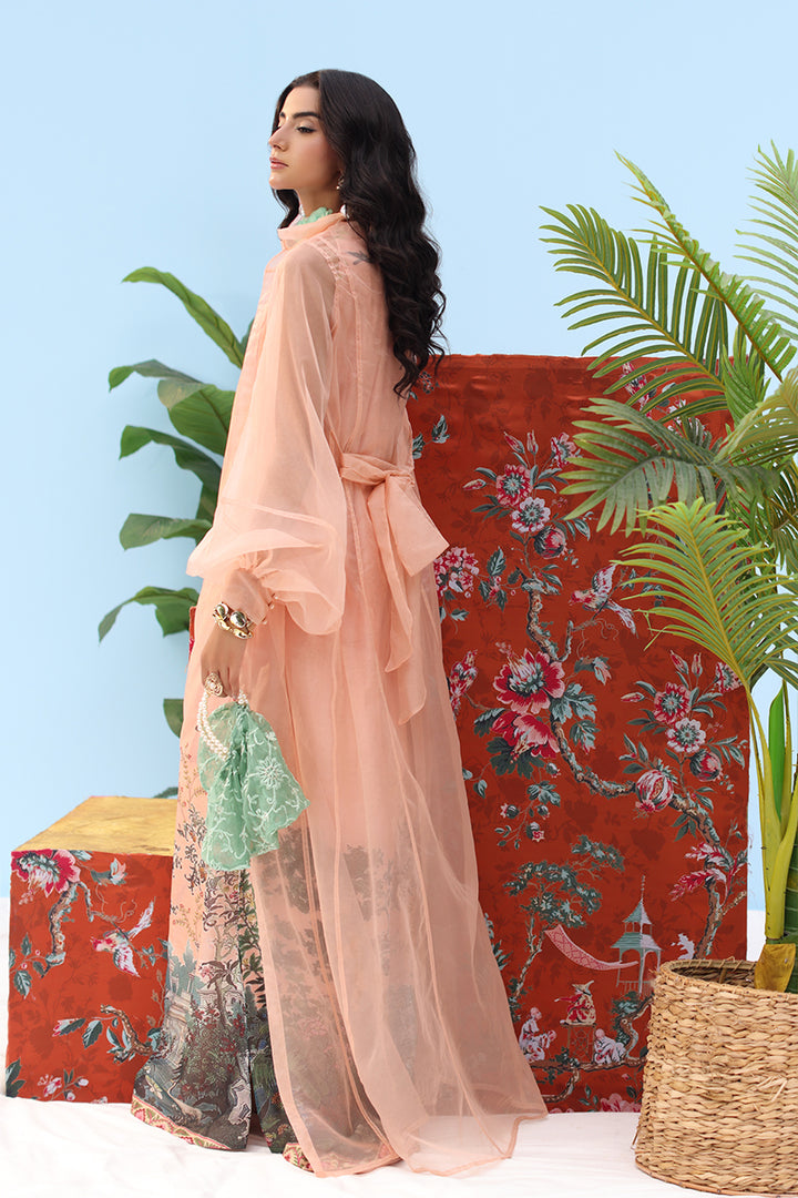 Musferah Saad - -Coral Horizon - peach blush - Organza & Silk - 3 Piece