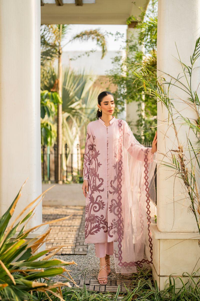Natasha Kamal - Bonita - pink applique - Cotton net lined with cotton silk - 3 Piece