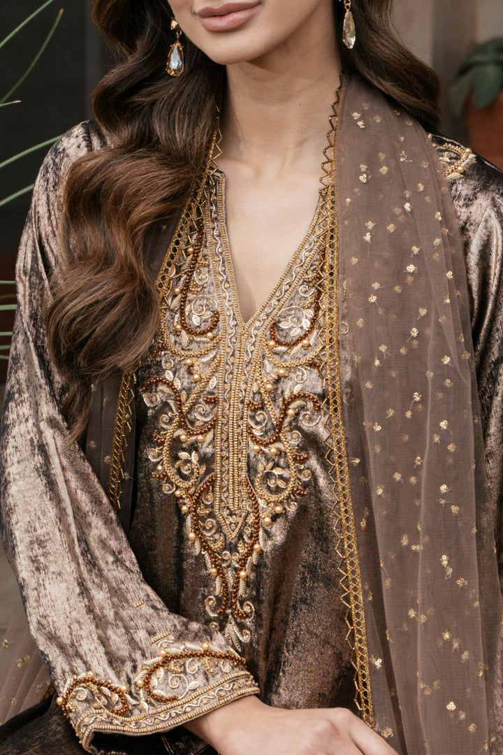 Natasha Kamal - OLYMPIA - brown - Two Tonal Silk & Net - 3 Piece