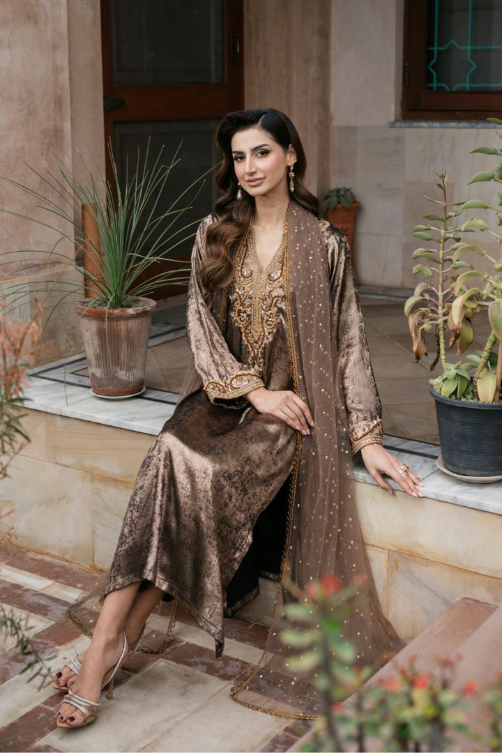 Natasha Kamal - OLYMPIA - brown - Two Tonal Silk & Net - 3 Piece