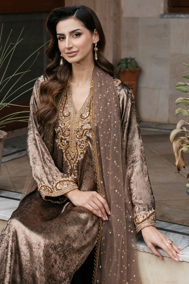 Natasha Kamal - OLYMPIA - brown - Two Tonal Silk & Net - 3 Piece