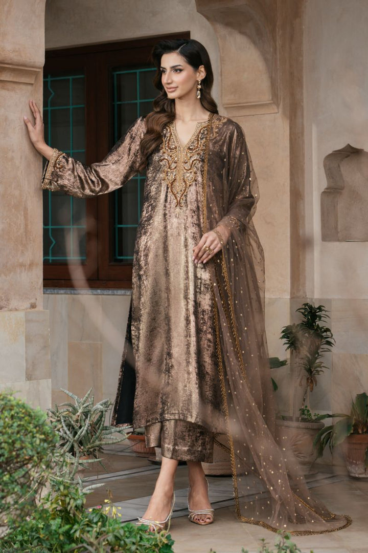Natasha Kamal - OLYMPIA - brown - Two Tonal Silk & Net - 3 Piece