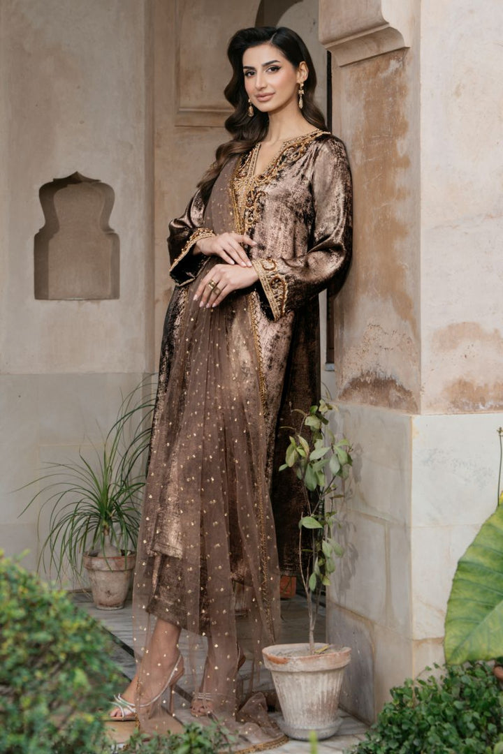 Natasha Kamal - OLYMPIA - brown - Two Tonal Silk & Net - 3 Piece