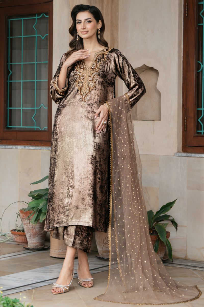 Natasha Kamal - OLYMPIA - brown - Two Tonal Silk & Net - 3 Piece