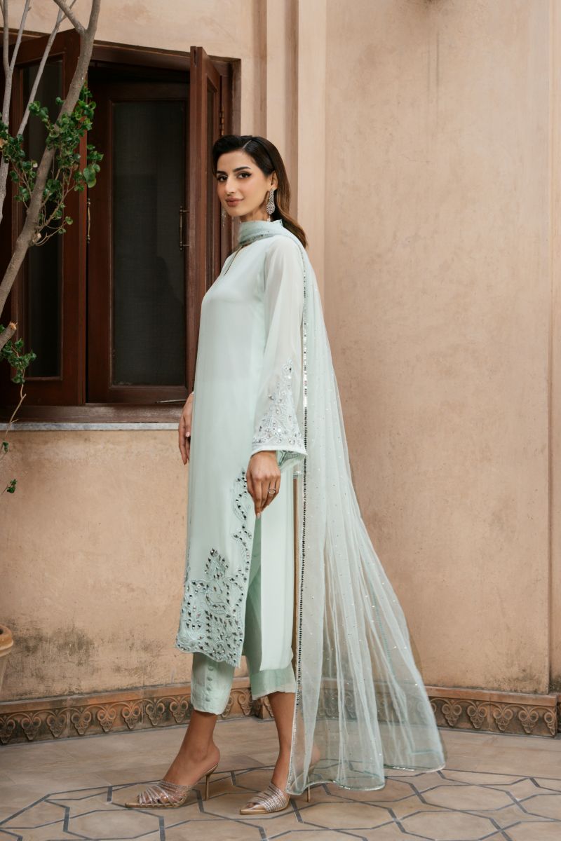 Natasha Kamal - VERNA - light green - Georgette Chiffon, Silk & Net - 3 Piece