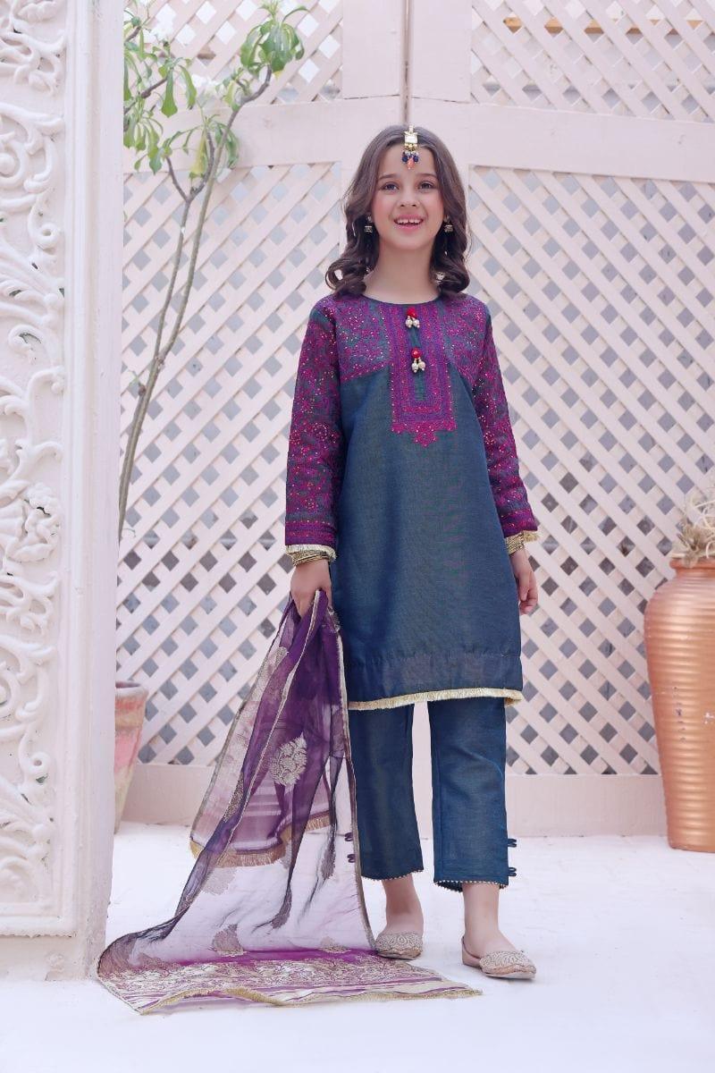 Oaks - Arisha - Masoori Embroidered 2 Piece