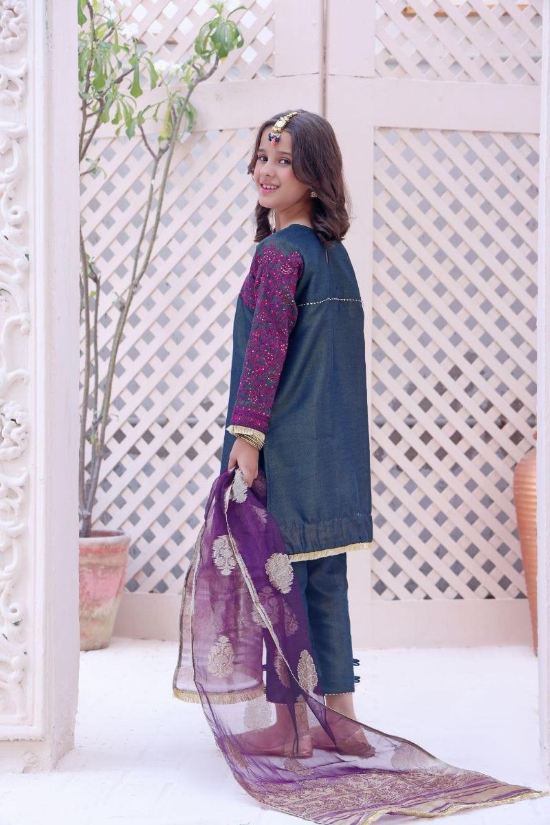 Oaks - Arisha - Masoori Embroidered 2 Piece