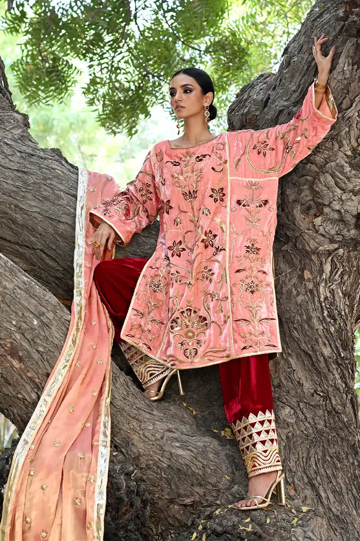 Pinktree - Jawani Janeman - 3 Piece