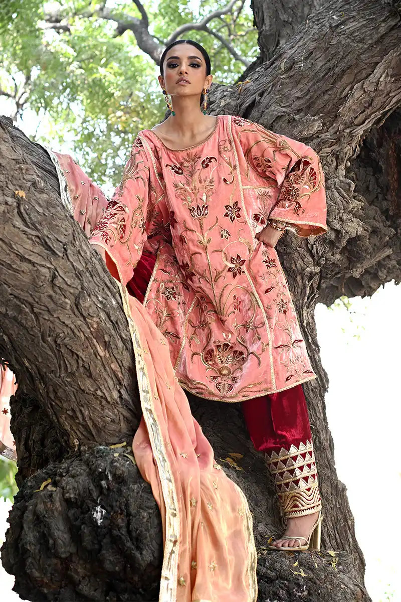 Pinktree - Jawani Janeman - 3 Piece