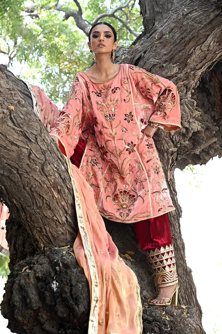 Pinktree - Jawani Janeman - 3 Piece