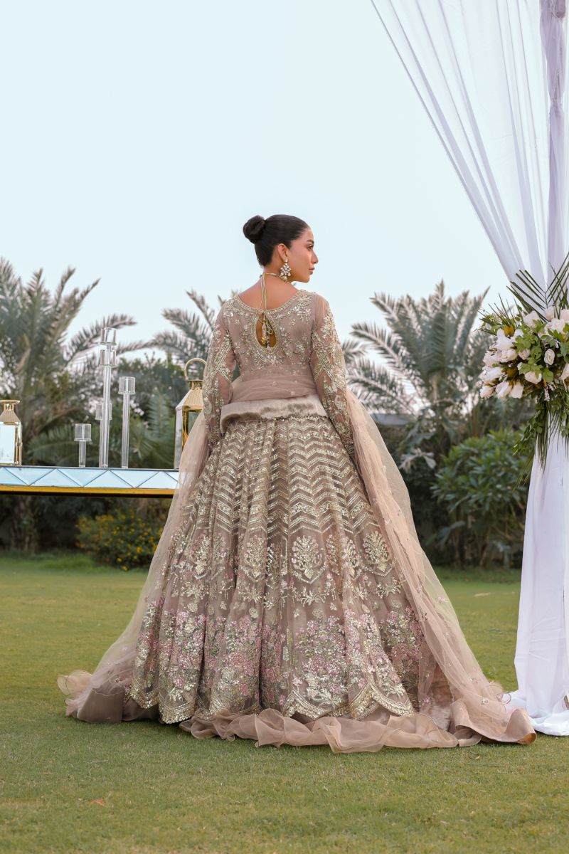 Reema Ahsan - Aroosa - Net & Tissue - Beige - 3 Piece