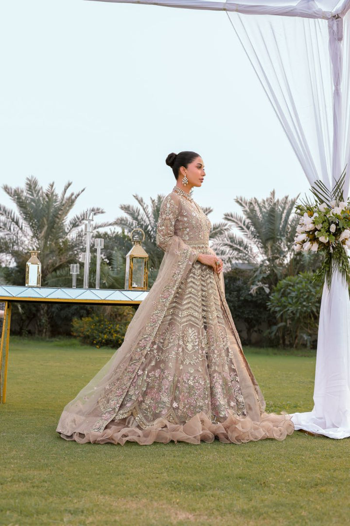 Reema Ahsan - Aroosa - Net & Tissue - Beige - 3 Piece