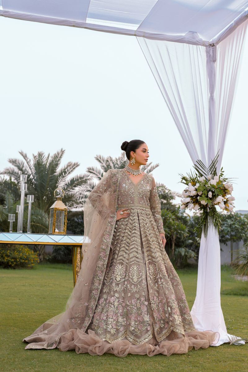 Reema Ahsan - Aroosa - Net & Tissue - Beige - 3 Piece