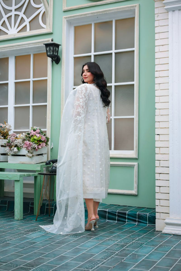 Reema Ahsan - Ayira  - Organza & PK Raw Silk - White - 3 Piece