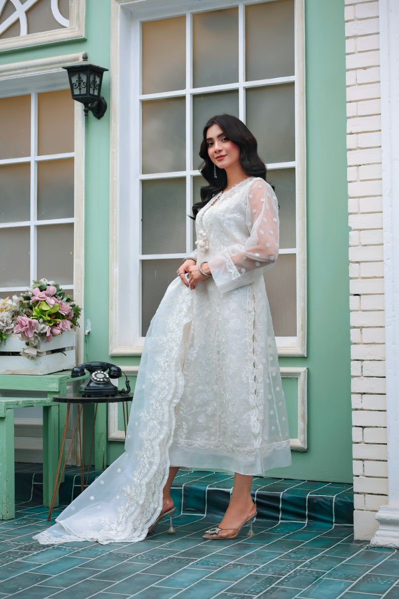Reema Ahsan - Ayira  - Organza & PK Raw Silk - White - 3 Piece