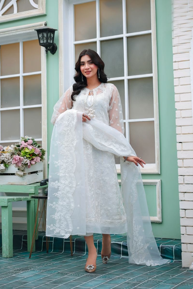 Reema Ahsan - Ayira  - Organza & PK Raw Silk - White - 3 Piece