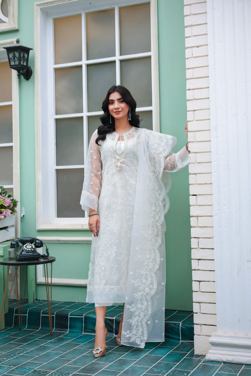 Reema Ahsan - Ayira  - Organza & PK Raw Silk - White - 3 Piece