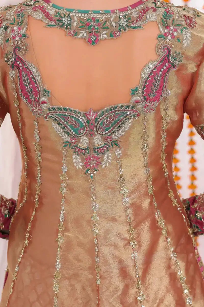 Reema Ahsan - Elyana - Tissue, Net & Jamawar - Rust - 3 Piece