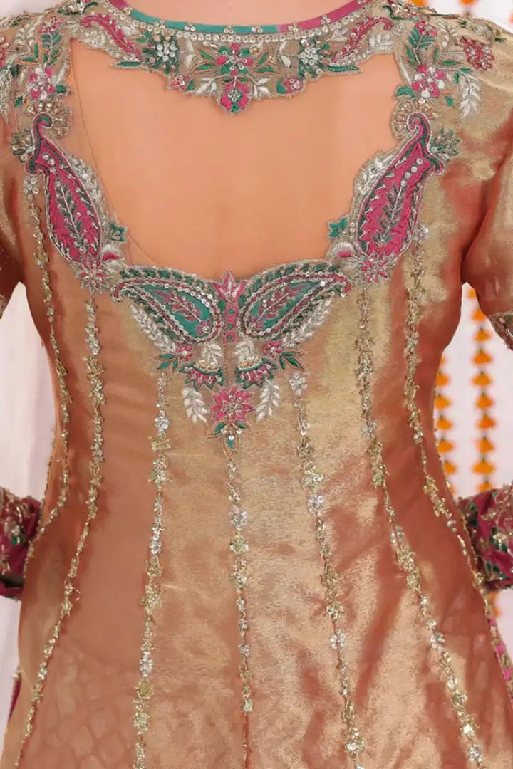 Reema Ahsan - Elyana - Tissue, Net & Jamawar - Rust - 3 Piece