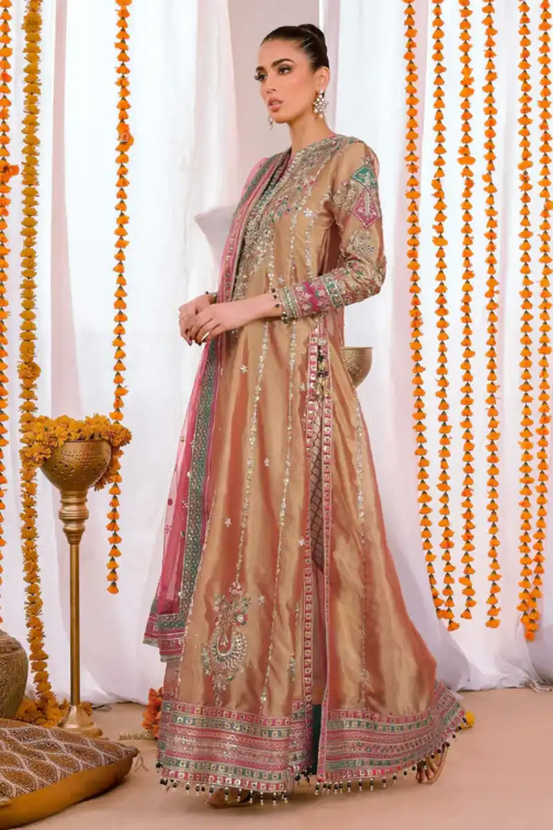 Reema Ahsan - Elyana - Tissue, Net & Jamawar - Rust - 3 Piece