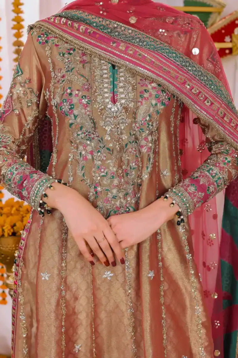 Reema Ahsan - Elyana - Tissue, Net & Jamawar - Rust - 3 Piece