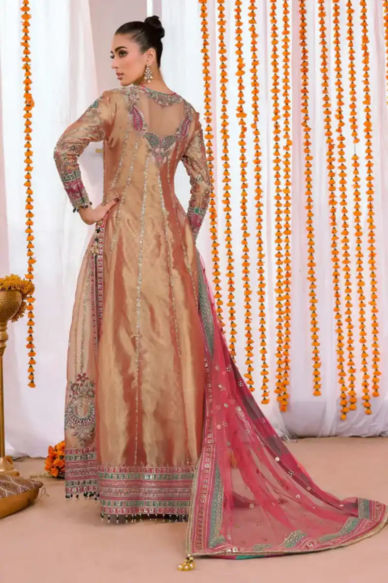 Reema Ahsan - Elyana - Tissue, Net & Jamawar - Rust - 3 Piece