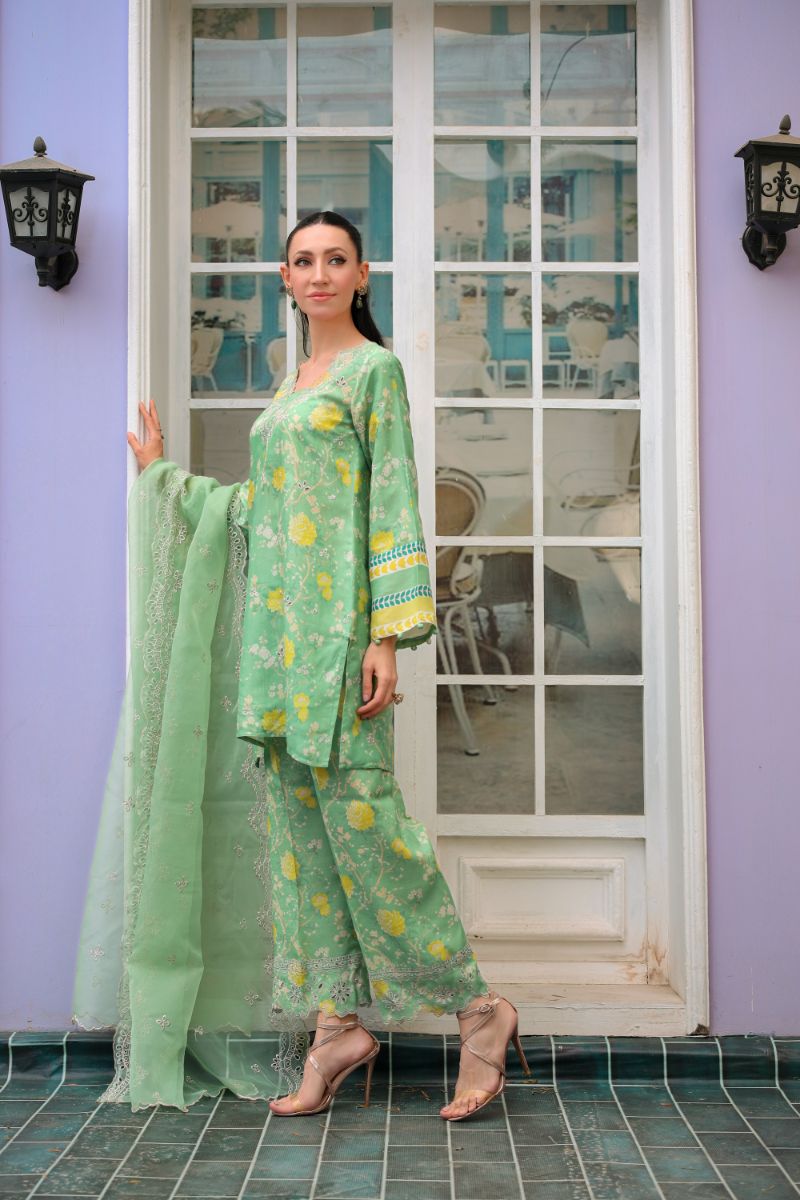 Reema Ahsan - Imara - PK Raw Silk & Organza - Mint Green - 3 Piece