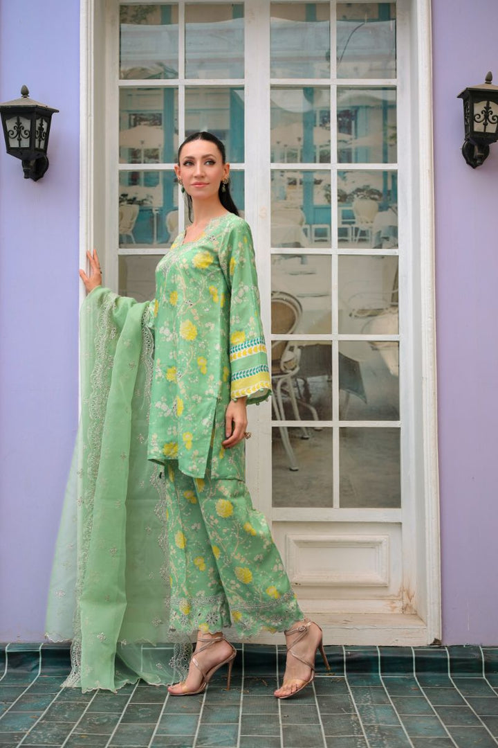 Reema Ahsan - Imara - PK Raw Silk & Organza - Mint Green - 3 Piece