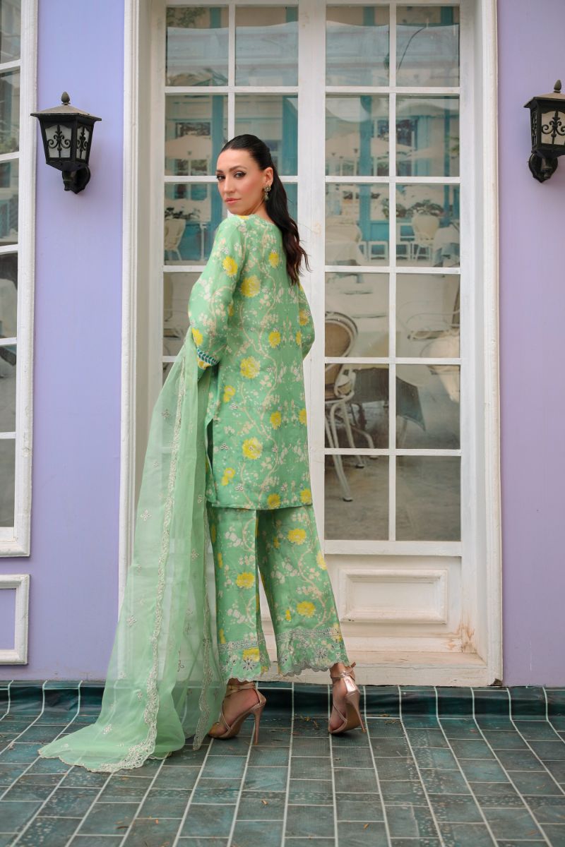 Reema Ahsan - Imara - PK Raw Silk & Organza - Mint Green - 3 Piece