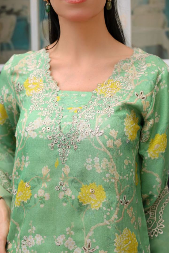 Reema Ahsan - Imara - PK Raw Silk & Organza - Mint Green - 3 Piece