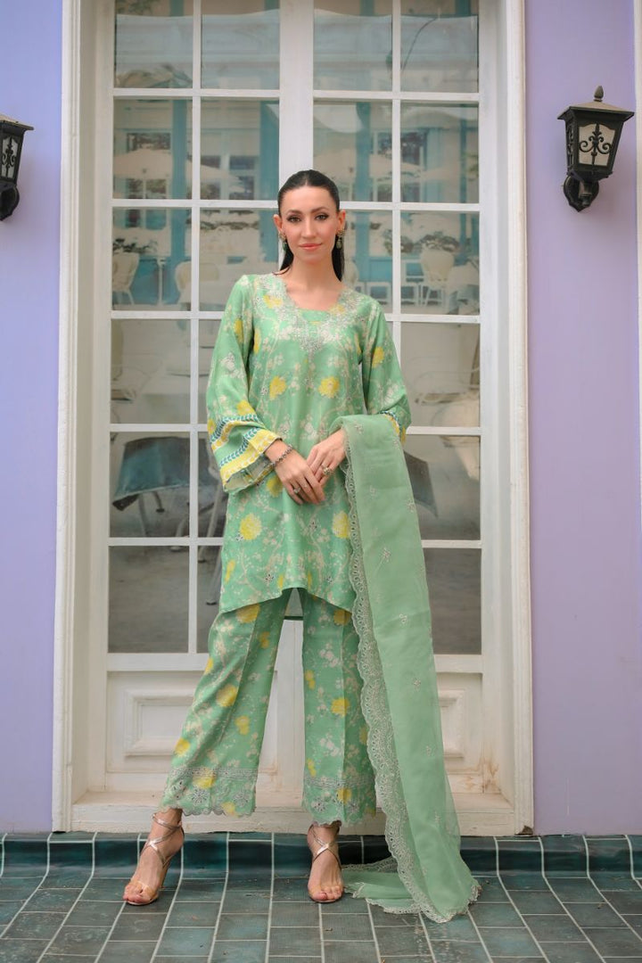 Reema Ahsan - Imara - PK Raw Silk & Organza - Mint Green - 3 Piece