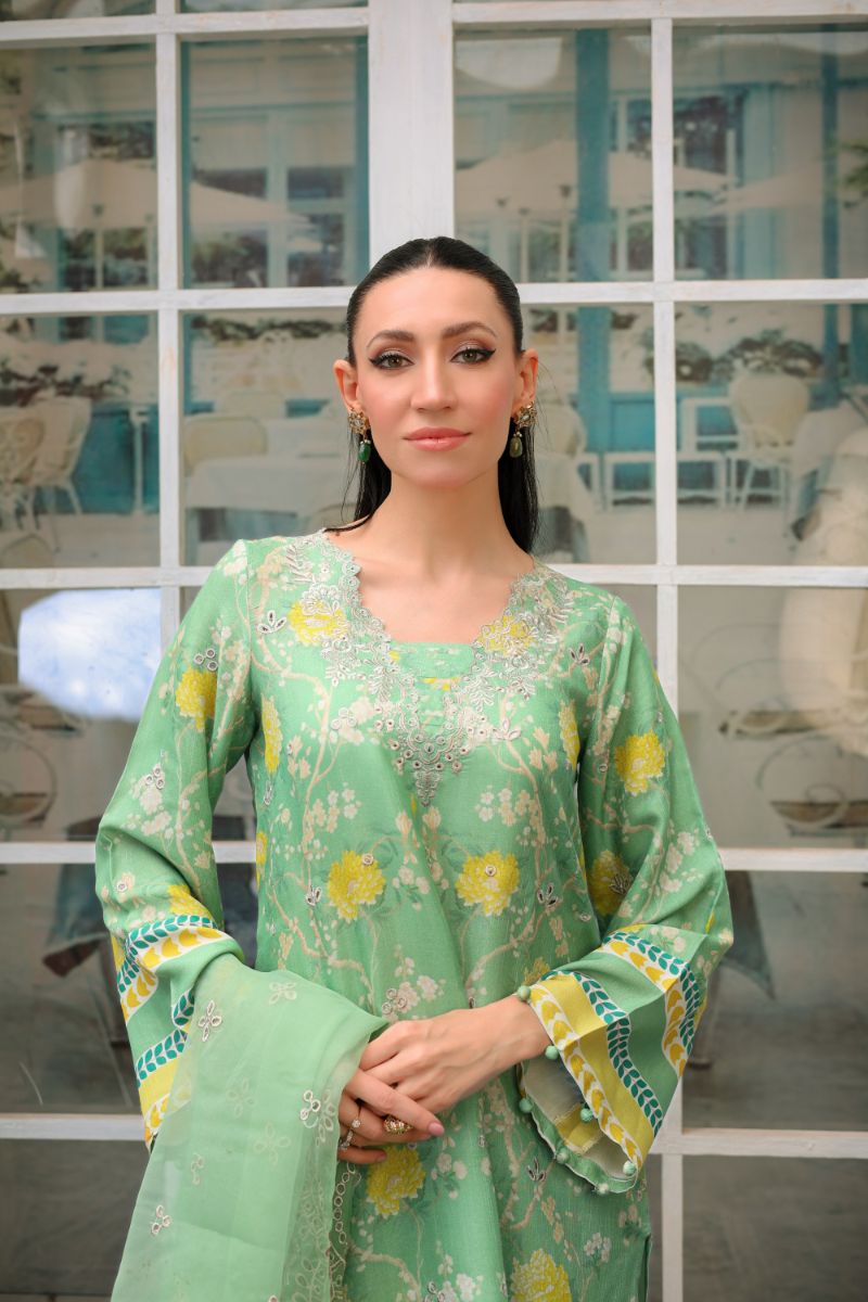 Reema Ahsan - Imara - PK Raw Silk & Organza - Mint Green - 3 Piece