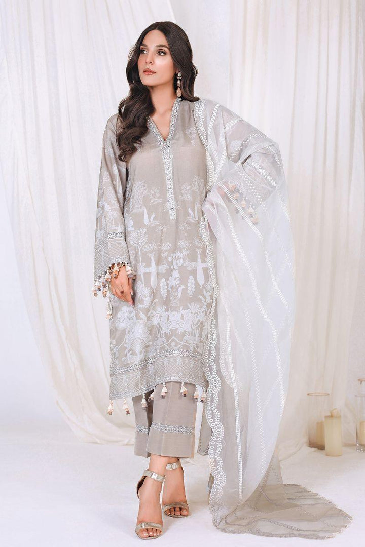 Reema Ahsan - NIA - Korean raw silk - Skin - 3 Piece