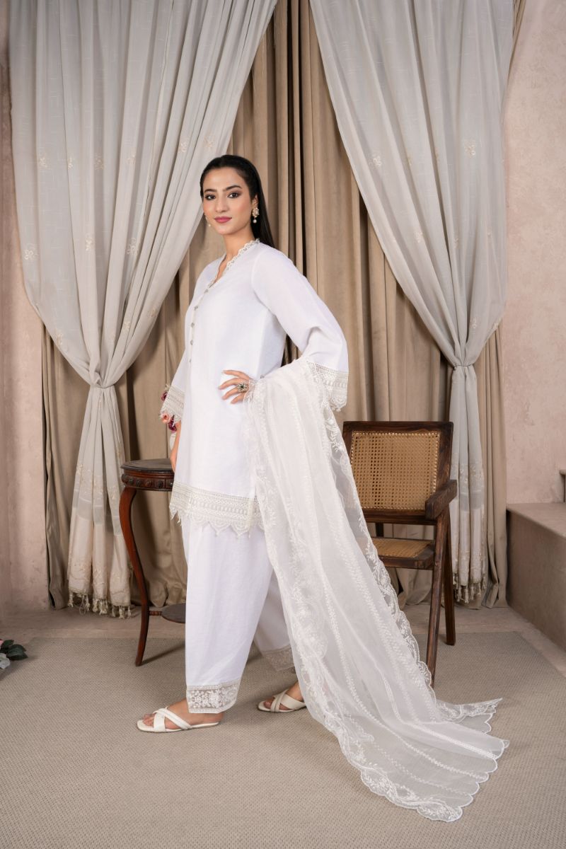 Reema Ahsan - Nazaa - Lawn & Organza - White - 3 Piece
