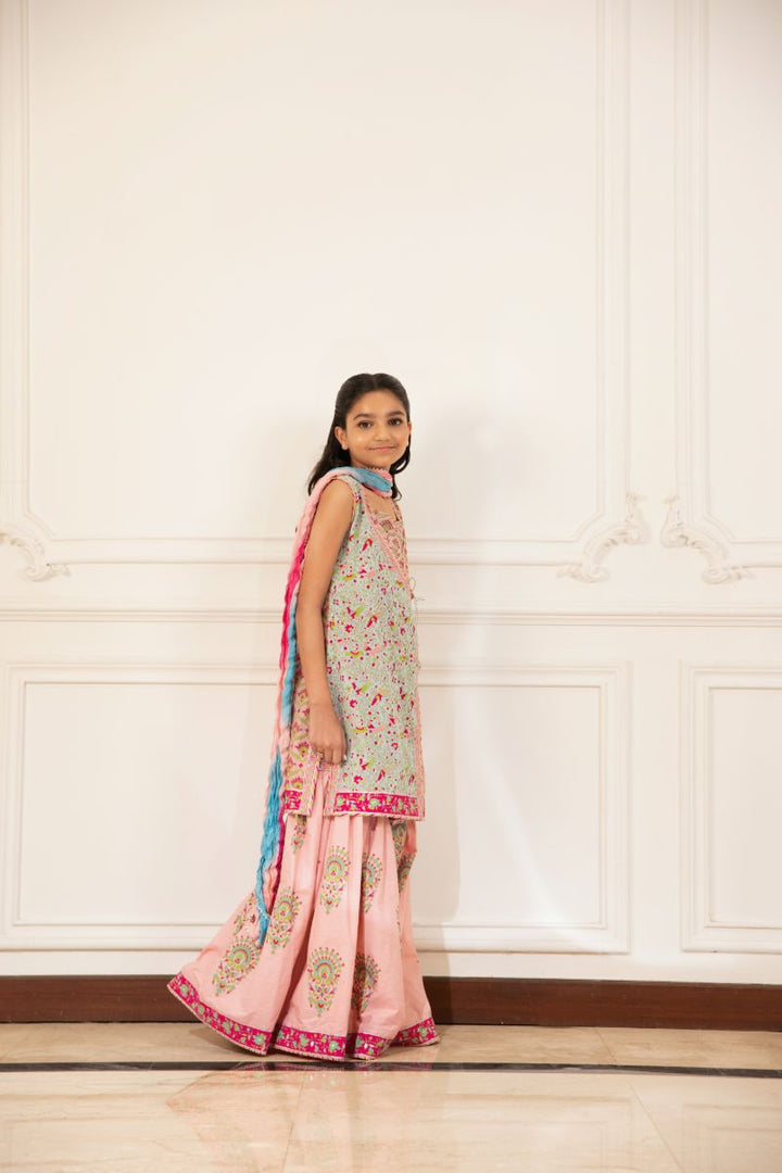 Shehrnaz - Zafeera - SHKK-1503 - Pink - cotton - 3 Piece