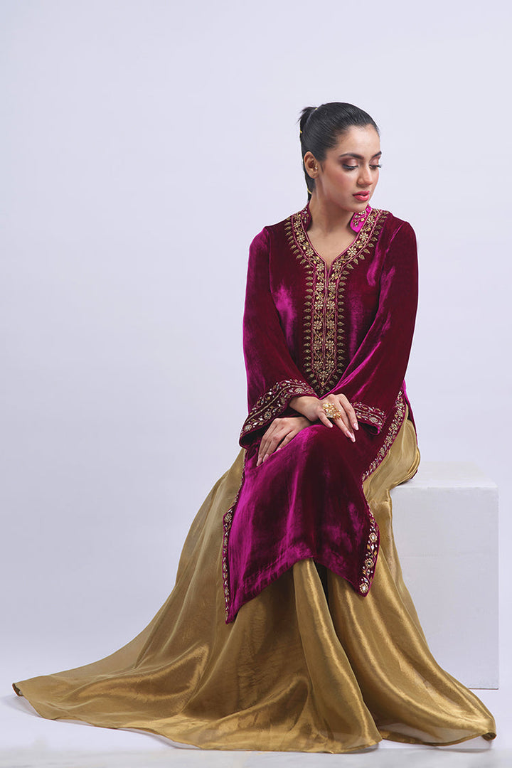 Salahuddin Pasha - Azalea Velvet Gharara For Women - Burgundy - 2 Piece