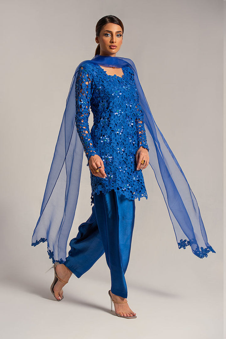 Salahuddin Pasha - Diamond Dust Silk, Organza Suit For Women - Blue - 3 Piece