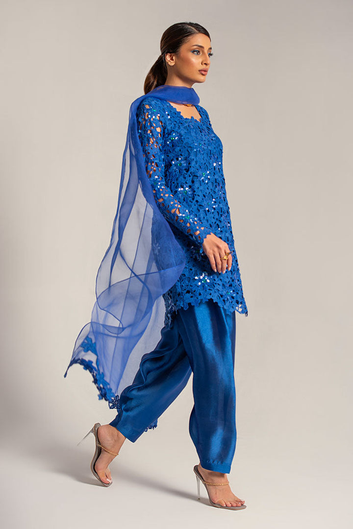 Salahuddin Pasha - Diamond Dust Silk, Organza Suit For Women - Blue - 3 Piece