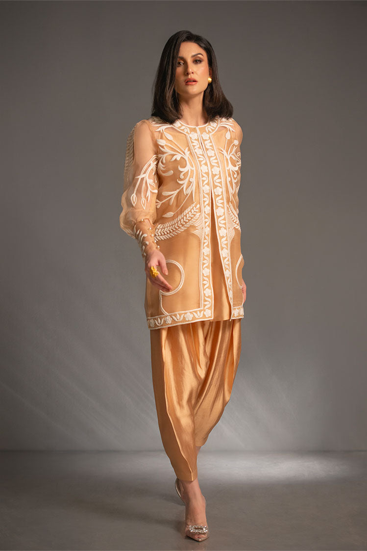 Salahuddin Pasha - Look 1 Silk, Organza Suit For Women - Gold - 2 Piece