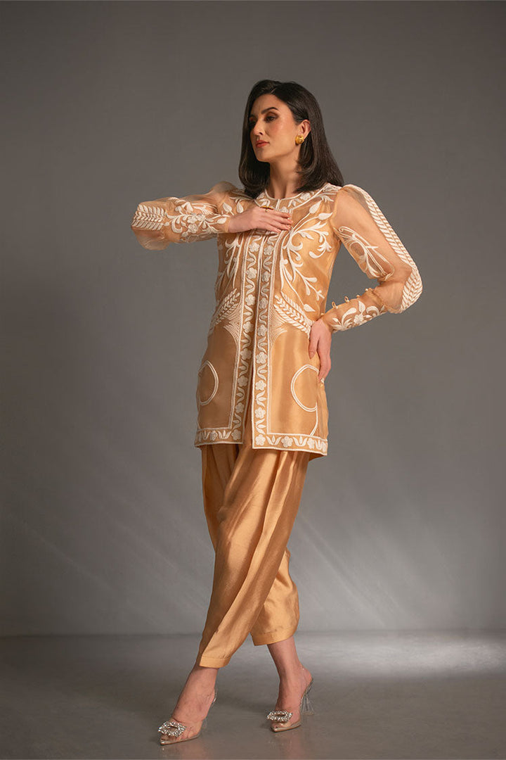 Salahuddin Pasha - Look 1 Silk, Organza Suit For Women - Gold - 2 Piece