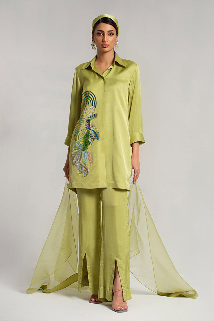 Salahuddin Pasha - Silk, Organza Suit For Women - Pistachio - 3 Piece