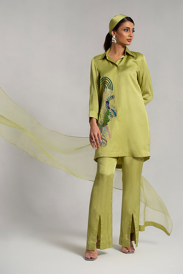 Salahuddin Pasha - Silk, Organza Suit For Women - Pistachio - 3 Piece