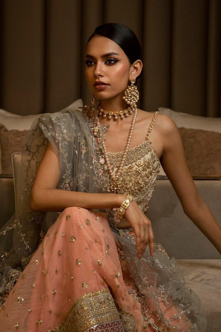 Sana Safinaz - N232-004-Ct - Silk &amp; Net - Beige &amp; Peach - 3 Piece - Unstitched
