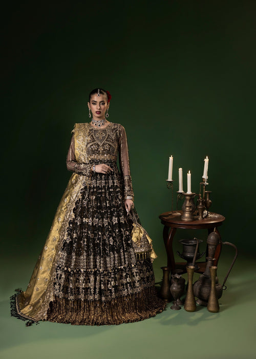 Sara Jahan - Rang E Bahar Net Embroidered Suit For Women - Black - 3 Piece