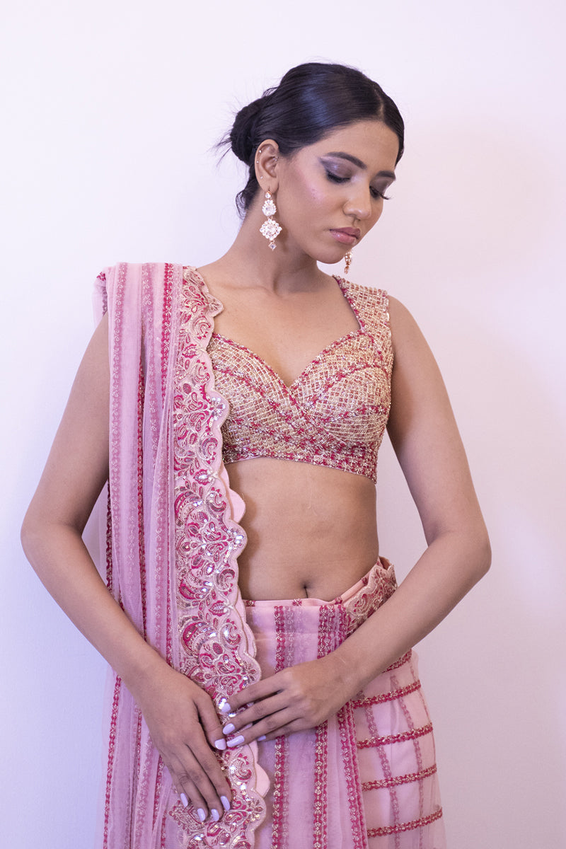 Shahid Chuhan - Rosy Rhapsody Soft Net Saree For Women - Pink
