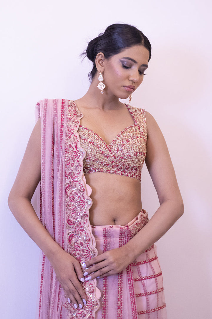 Shahid Chuhan - Rosy Rhapsody Soft Net Saree For Women - Pink
