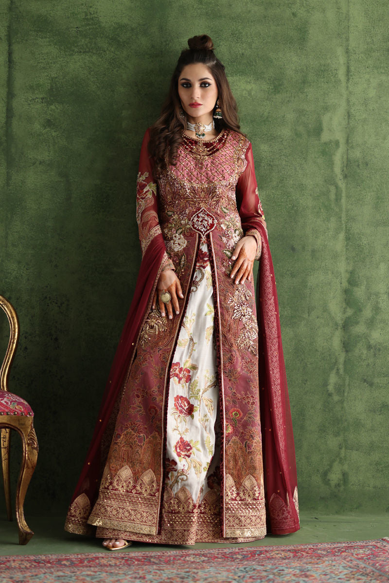 Shamaeel - CE-02 - Raw Silk & Organza/Viscose Silk/Soft Net