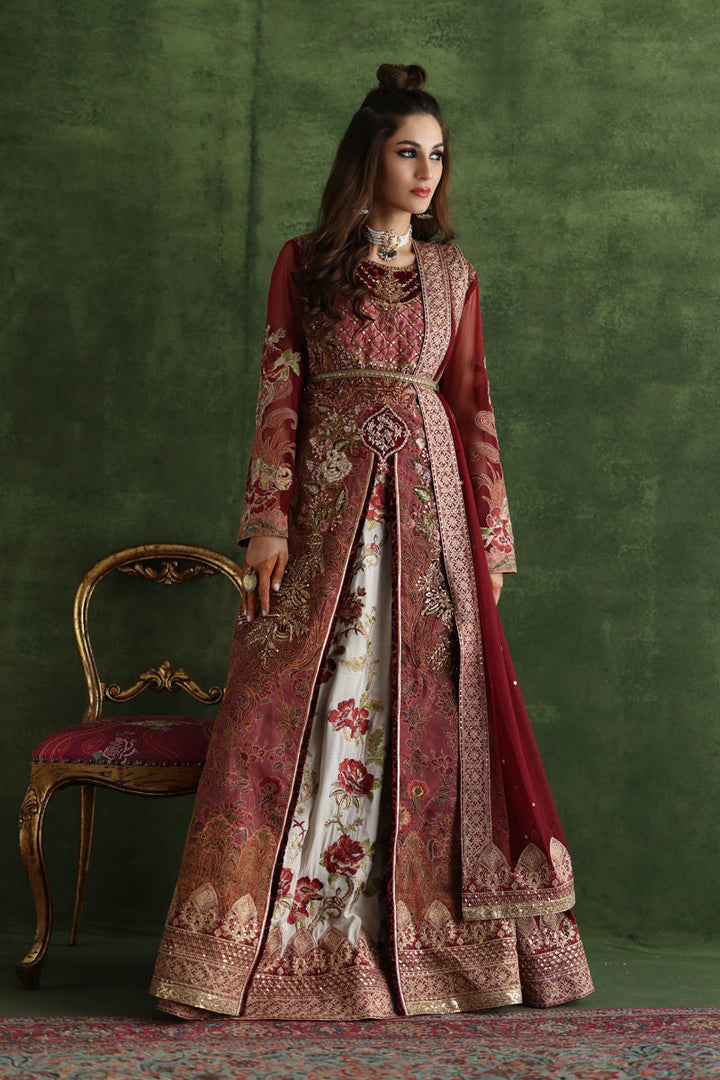 Shamaeel - CE-02 - Raw Silk & Organza/Viscose Silk/Soft Net