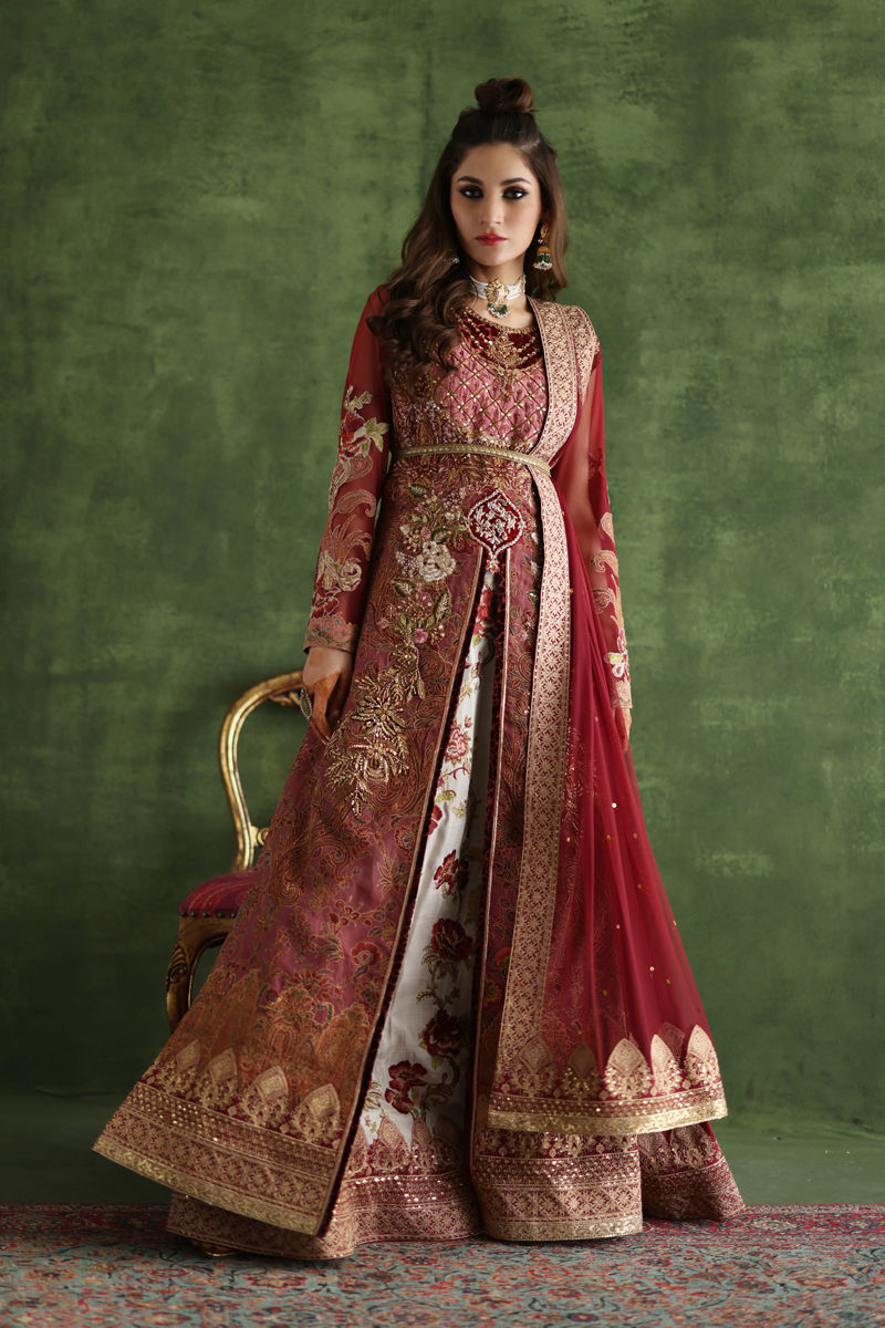 Shamaeel - CE-02 - Raw Silk & Organza/Viscose Silk/Soft Net