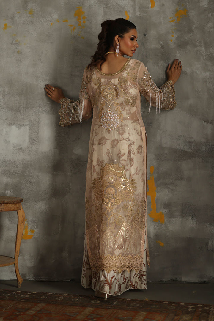 Shamaeel - Rani-1 - Organza/Viscose Silk